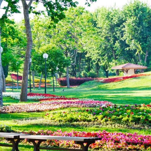 Park zieleni przy instytucji